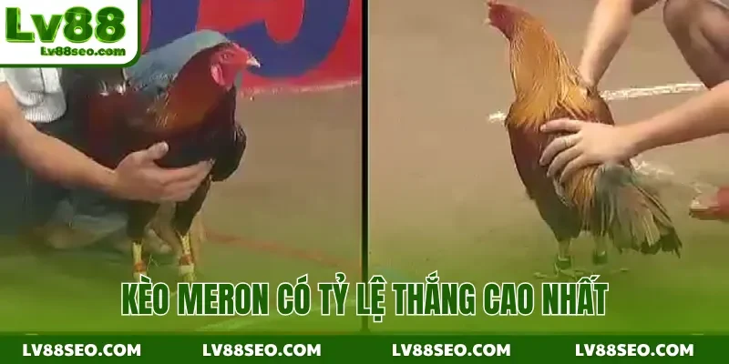 Kèo Meron có tỷ lệ thắng cao nhất